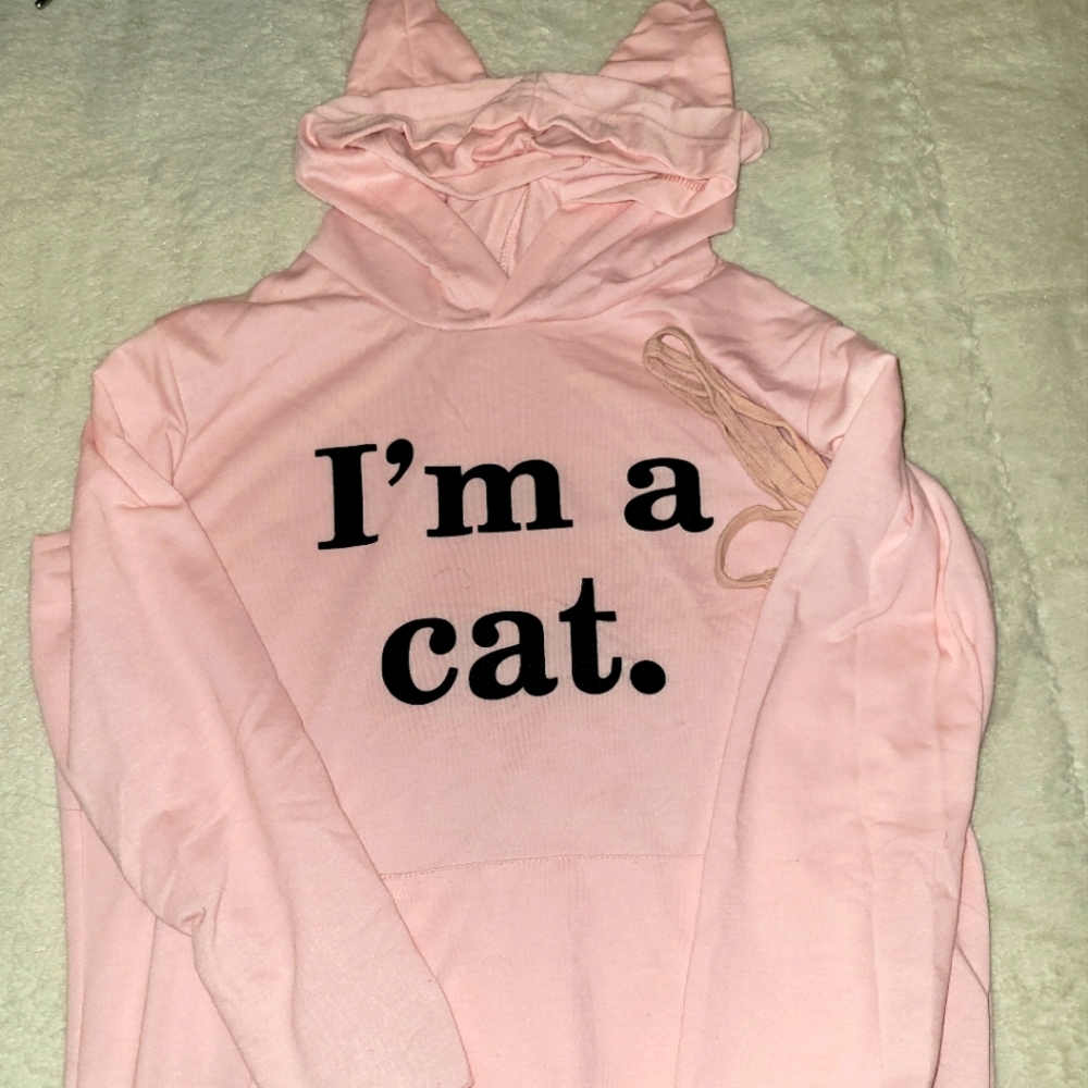 NWOT IM A CAT HOODED TEE